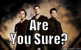 ARE YOU SURE? Misc