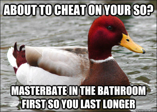 about to cheat on your so? masterbate in the bathroom first so you last longer  Malicious Advice Mallard
