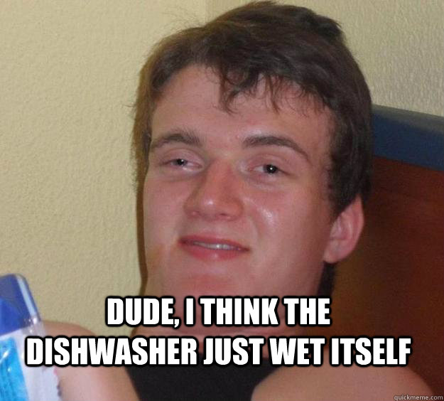 Dude, I think the dishwasher just wet itself  10 Guy