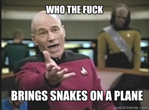 who the fuck brings snakes on a plane  Annoyed Picard