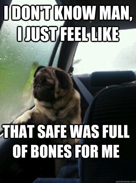I don't know man, I just feel like  that safe was full of bones for me - I don't know man, I just feel like  that safe was full of bones for me  Introspective Pug