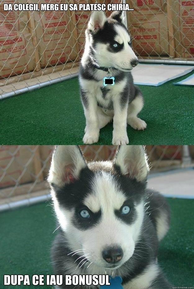 da colegii, merg eu sa platesc chiria... dupa ce iau BONUSUL  Insanity puppy