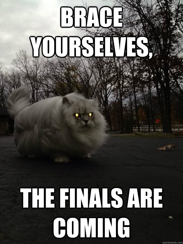 Brace yourselves, the finals are coming - Brace yourselves, the finals are coming  Winterfell Cat