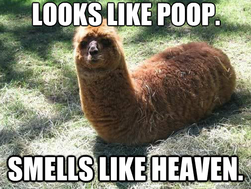 Looks like poop. Smells like heaven.  Alpacapillar
