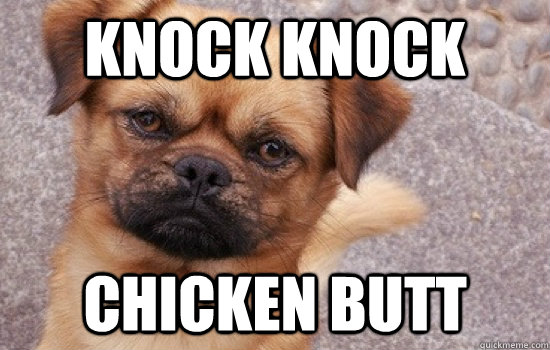 knock knock chicken butt  - knock knock chicken butt   Misc