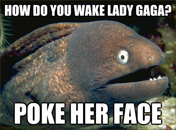 how do you wake lady gaga? poke her face  Bad Joke Eel
