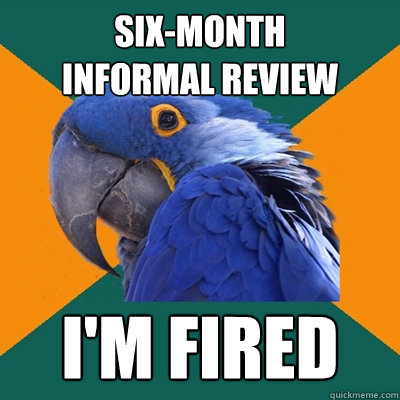 Six-month 
informal review I'm fired  Paranoid Parrot