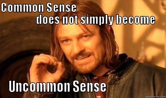 COMMON SENSE                                                       DOES NOT SIMPLY BECOME UNCOMMON SENSE                       Boromir