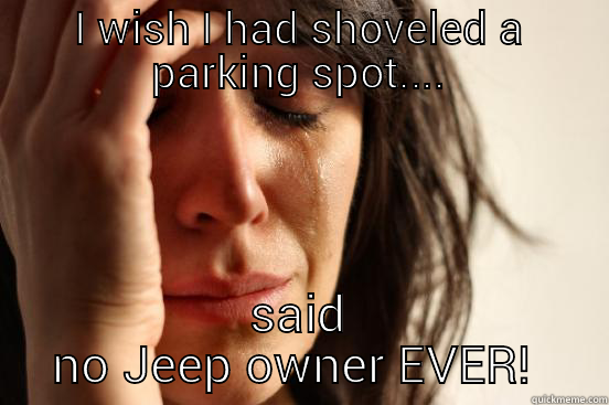 I WISH I HAD SHOVELED A PARKING SPOT.... SAID NO JEEP OWNER EVER!  First World Problems