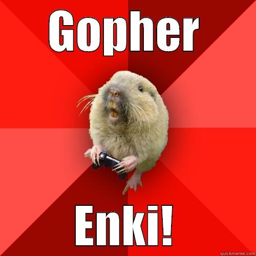 GOPHER ENKI! Gaming Gopher