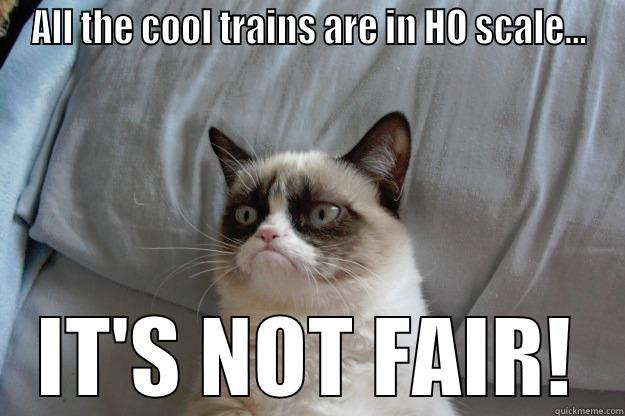 ALL THE COOL TRAINS ARE IN HO SCALE... IT'S NOT FAIR! Grumpy Cat