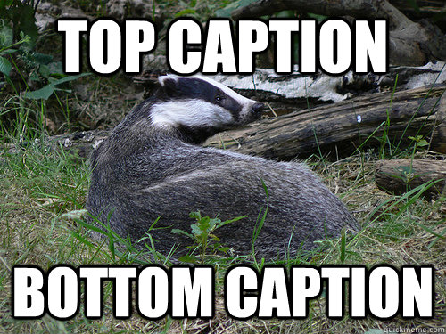 Top caption Bottom caption - Top caption Bottom caption  Bastard Badger