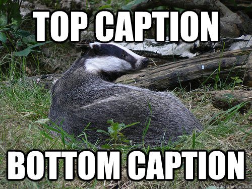 Top caption Bottom caption  