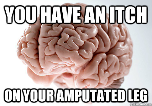 You have an itch on your amputated leg  Scumbag Brain