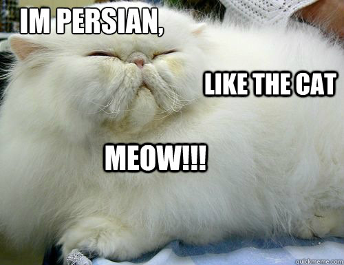 im persian, 
 like the cat MEOW!!!  