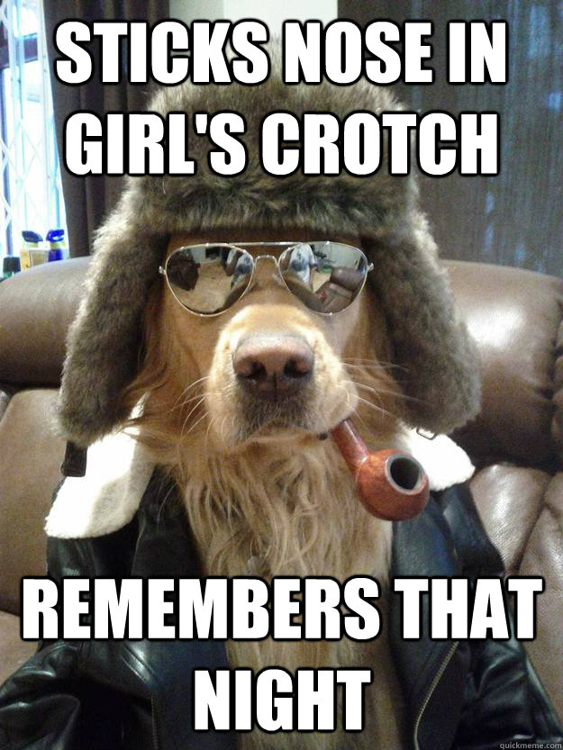 Sticks nose in girl's crotch Remembers that night - Sticks nose in girl's crotch Remembers that night  Overly Suave Dog