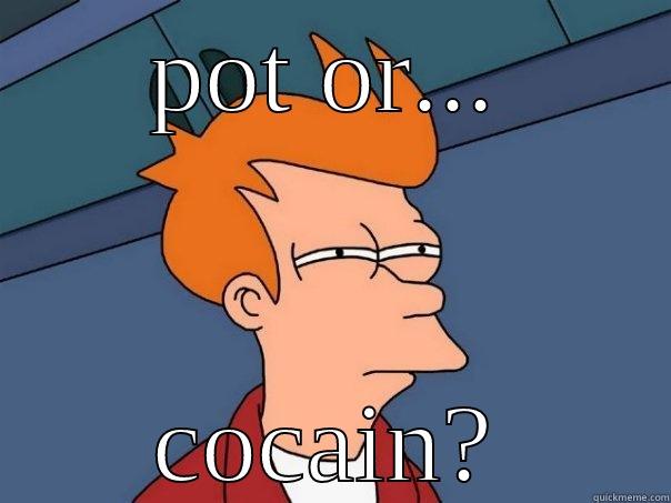 THE SIMPSONS...WAIT - POT OR... COCAIN? Futurama Fry