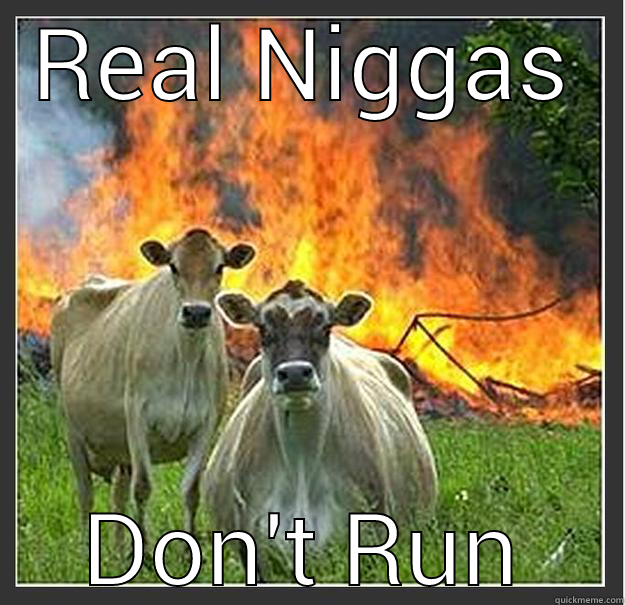 REAL NIGGAS DON'T RUN Evil cows