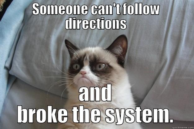 SOMEONE CAN'T FOLLOW DIRECTIONS AND BROKE THE SYSTEM. Grumpy Cat