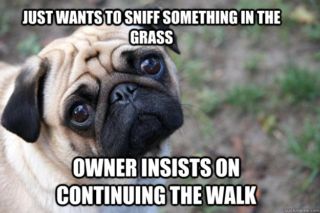 Just wants to sniff something in the grass Owner insists on continuing the walk  First World Dog problems