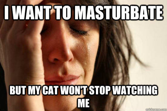 I want to masturbate But my cat won't stop watching me  First World Problems