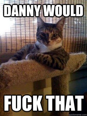 danny would fuck that  The Most Interesting Cat in the World