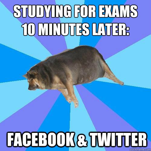 Studying for Exams 
10 minutes later:   Facebook & Twitter  - Studying for Exams 
10 minutes later:   Facebook & Twitter   Lazy college student