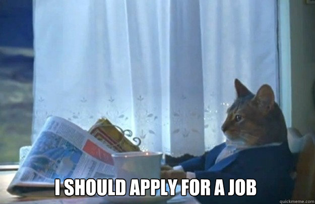 I should apply for a job  Sophisticated Cat