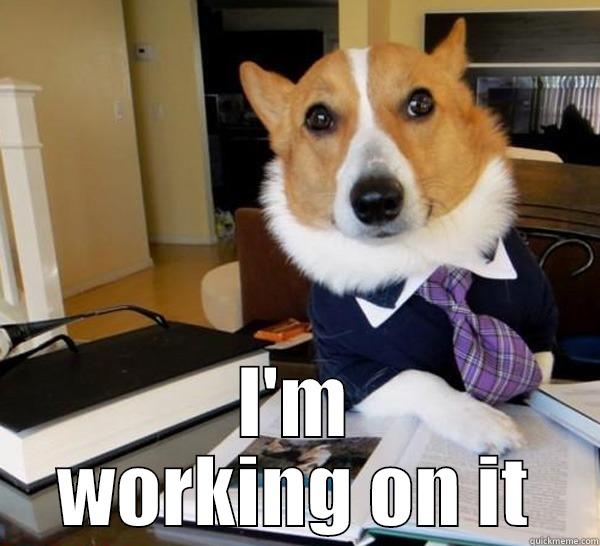 I'm working on it -  I'M WORKING ON IT Lawyer Dog