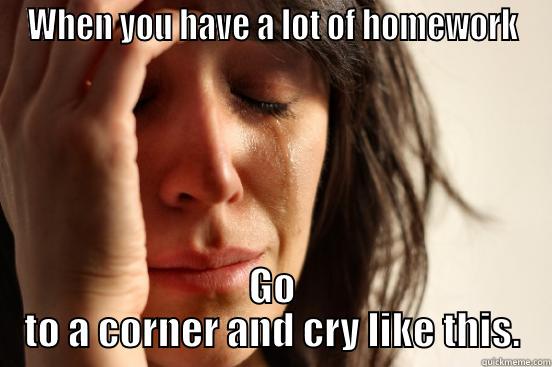 WHEN YOU HAVE A LOT OF HOMEWORK GO TO A CORNER AND CRY LIKE THIS. First World Problems