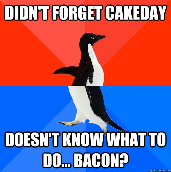 Didn't forget Cakeday Doesn't know what to do... Bacon?  Socially Awesome Awkward Penguin