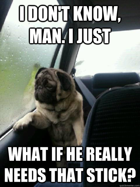 i don't know, man. i just what if he really needs that stick?  Introspective Pug