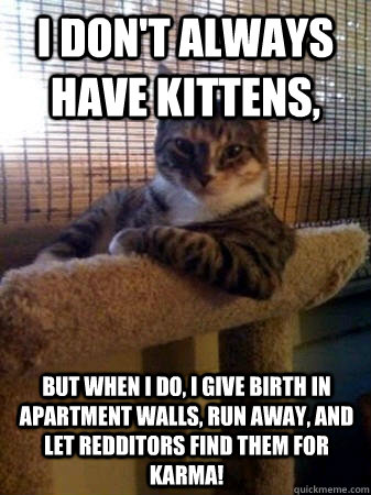 I don't always have kittens, but when i do, I give birth in apartment walls, run away, and let redditors find them for karma!  The Most Interesting Cat in the World
