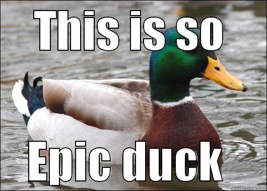 THIS IS SO EPIC DUCK  Actual Advice Mallard