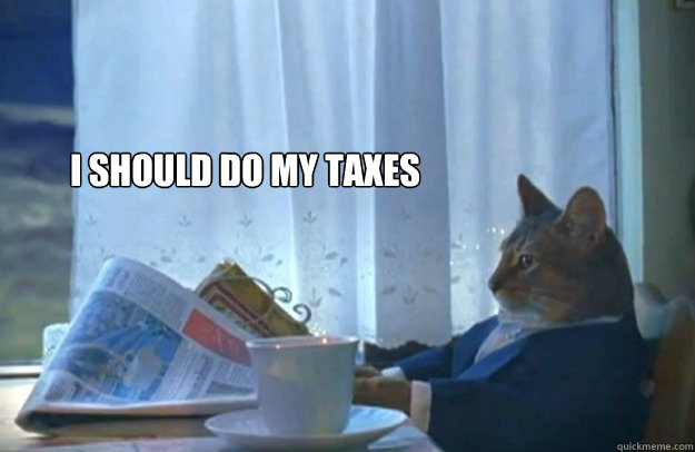 I should do my taxes  Sophisticated Cat