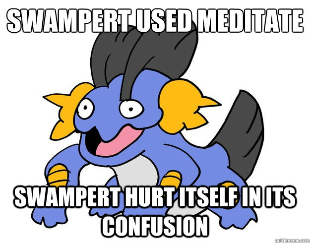 Swampert used meditate
 swampert hurt itself in its confusion  