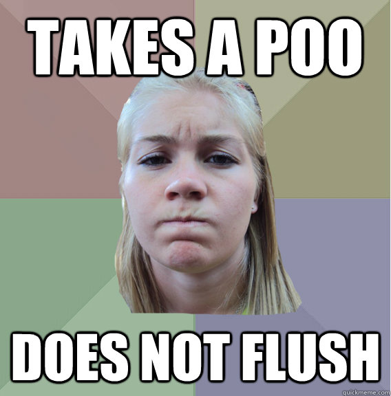 takes a poo does not flush  Scumbag Roommate