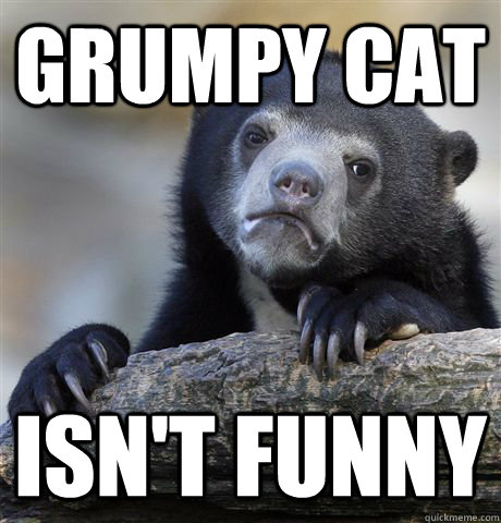 Grumpy Cat Isn't funny  Confession Bear
