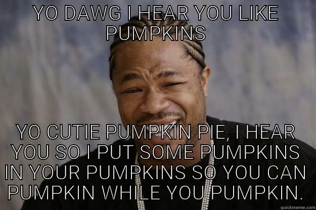 YO DAWG I HEAR YOU LIKE PUMPKINS SO I PUT SOME PUMPKINS IN YOUR PUMPKINS SO YOU CAN PUMPKIN WHILE YOU PUMPKIN. Xzibit meme