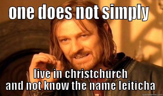 ONE DOES NOT SIMPLY  LIVE IN CHRISTCHURCH AND NOT KNOW THE NAME LEITICHA Boromir