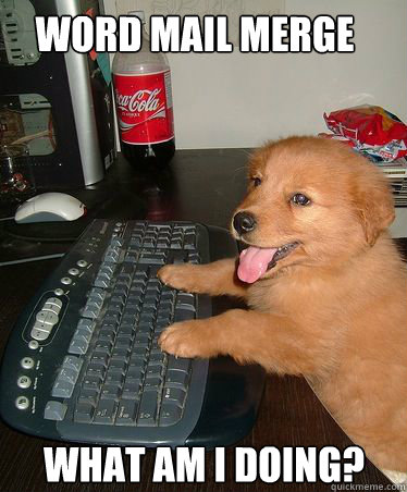 Word Mail Merge What am I doing?  