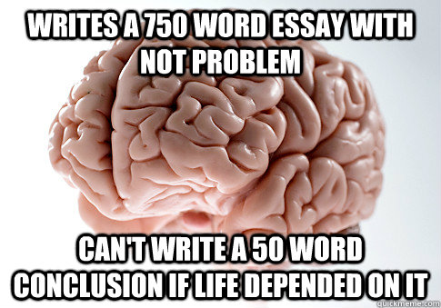 WRITES A 750 WORD ESSAY WITH NOT PROBLEM CAN'T WRITE A 50 WORD CONCLUSION IF LIFE DEPENDED ON IT   Scumbag Brain