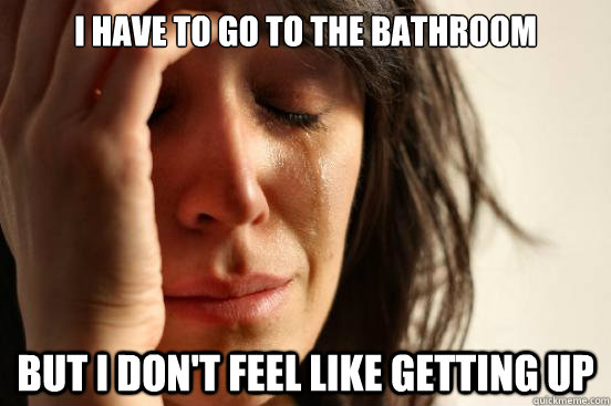 i have to go to the bathroom but i don't feel like getting up  First World Problems