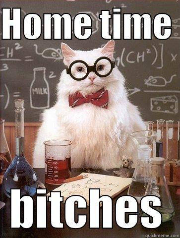 HOME TIME  BITCHES Chemistry Cat