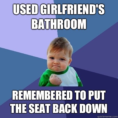 Used girlfriend's bathroom Remembered to put the seat back down - Used girlfriend's bathroom Remembered to put the seat back down  Success Kid