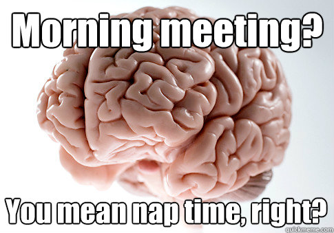 Morning meeting? You mean nap time, right?   Scumbag Brain