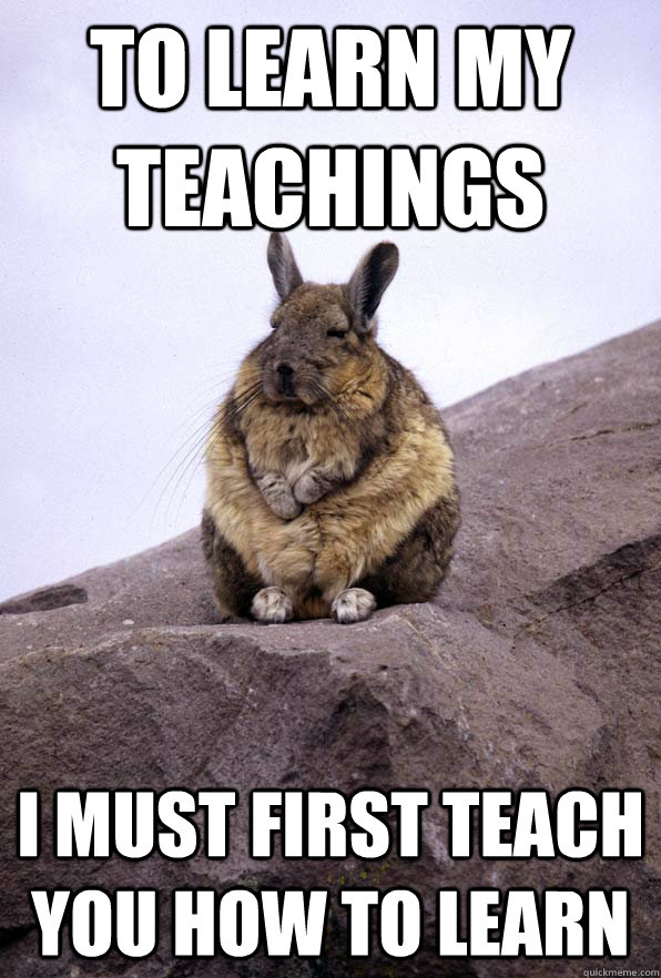 To learn my teachings I must first teach you how to learn  Wise Wondering Viscacha