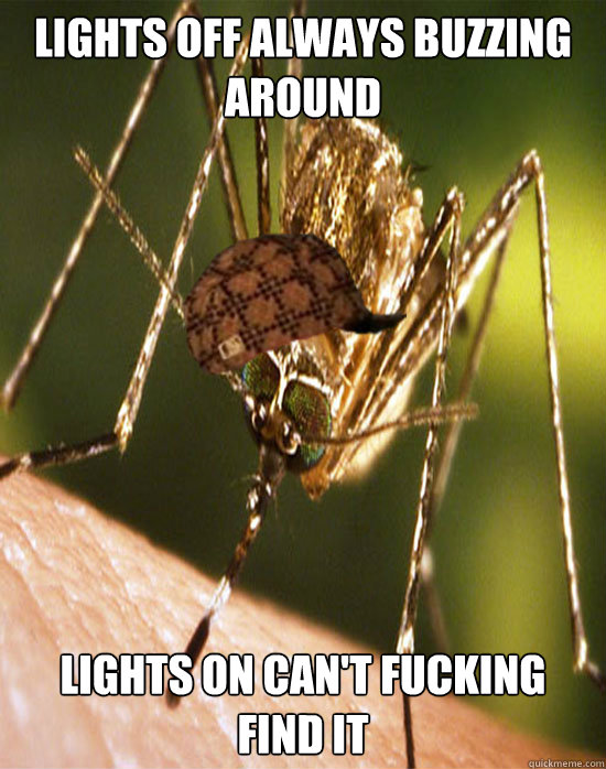Lights off always buzzing around Lights on can't fucking find it  