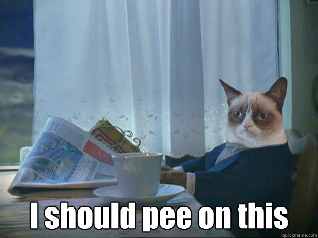  I should pee on this -  I should pee on this  Grumpy Cat Thoughts