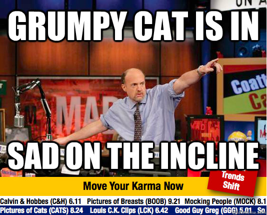 GRUMPY CAT IS IN SAD ON THE INCLINE - GRUMPY CAT IS IN SAD ON THE INCLINE  Mad Karma with Jim Cramer